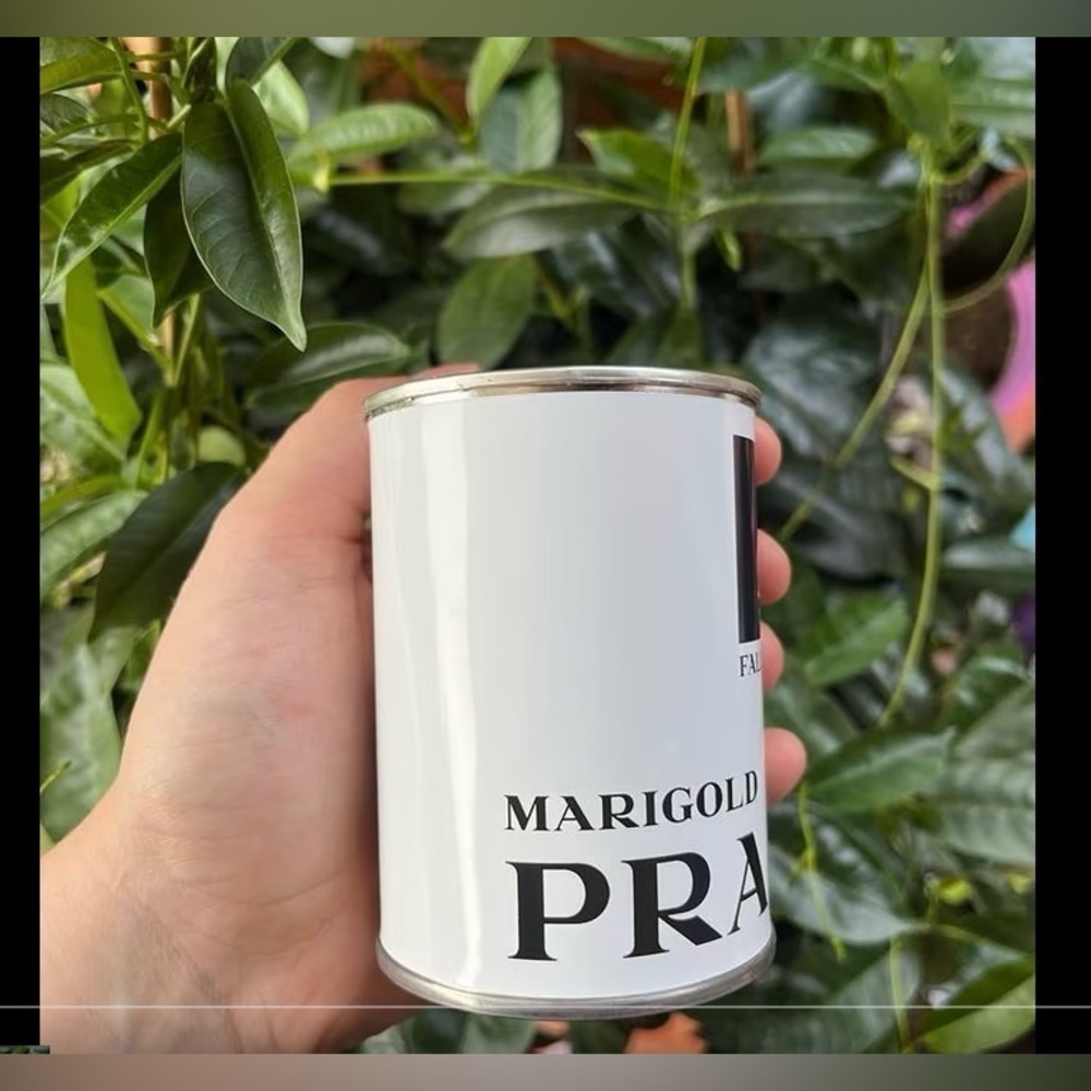 PRADA In Conversation With A Flower: MariGold Can Of Seed New Unopened - Picture 3 of 10